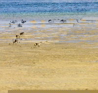 Towra Beach - Accommodation Melbourne