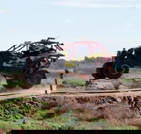 Turbo Buggy Ride - Accommodation Melbourne