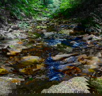Willi Willi National Park - Accommodation Melbourne