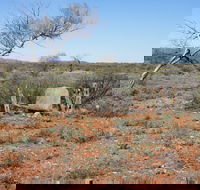 Winnecke Goldfield Cemetery - Accommodation Melbourne