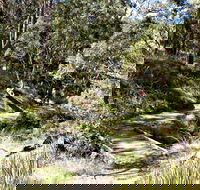 Wollomombi Walking Track - Accommodation Melbourne