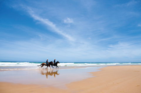 Worimi National Park - Accommodation Melbourne 2