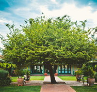 Ainslie  Gorman Arts Centres - Accommodation Melbourne
