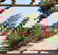 Australian Inland Botanic Gardens - Accommodation Melbourne