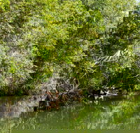 Berry Springs Nature Park - Accommodation Melbourne