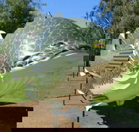 Big Murray Cod - Accommodation Melbourne
