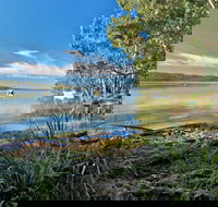 Black Oaks Picnic Area - Accommodation Melbourne