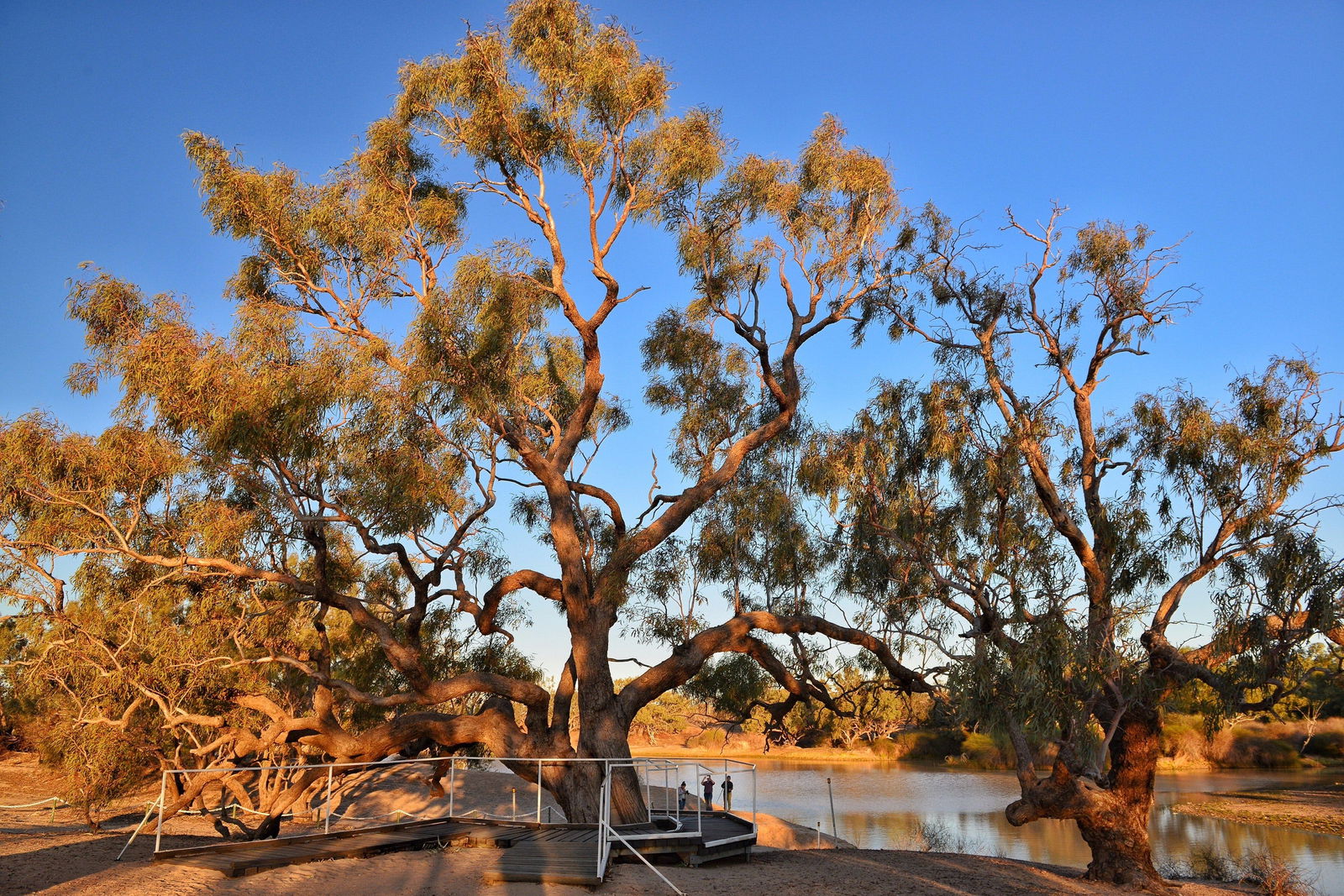 Durham Downs QLD Accommodation Melbourne