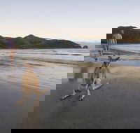 Cape Hillsborough National Park - Accommodation Melbourne
