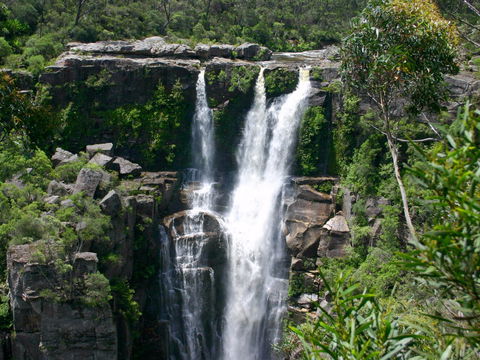 Carrington Falls - Accommodation Melbourne 0