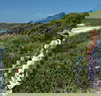 Conjola Beach Picnic Area - Accommodation Melbourne