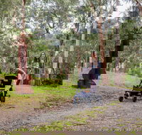 Currawong Bush Park - Accommodation Melbourne