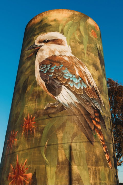 Deniliquin Water Tower Mural - Accommodation Melbourne 0