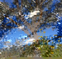 Euroa Arboretum - Accommodation Melbourne