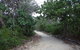 Federation Walk - thumb 1