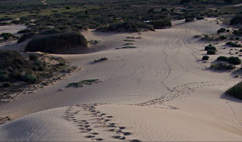 Foreshore Walk, Mungo National Park - Accommodation Melbourne 0