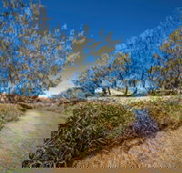 Freshwater Creek Track Byfield National Park - Accommodation Melbourne