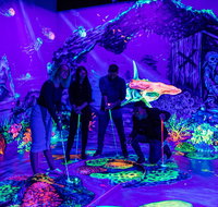 Glowing Rooms 3D Mini Golf - Accommodation Melbourne