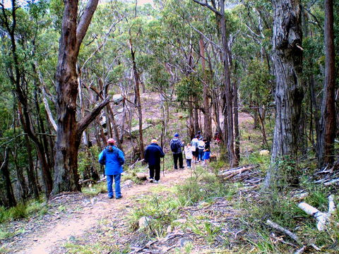 Greater Blue Mountains Heritage Trail - Accommodation Melbourne 2