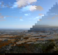 Heaton State Forest - Watagan Mountains - Accommodation Melbourne