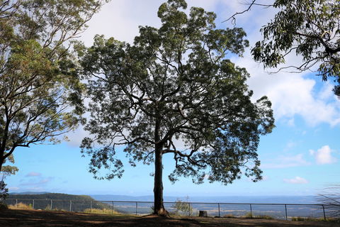 Heaton State Forest - Watagan Mountains - Accommodation Melbourne 2