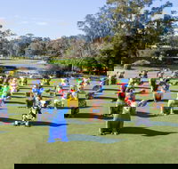 Hello Koalas Sculpture Trail - Accommodation Melbourne