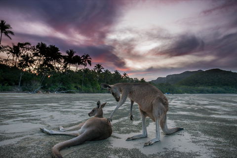 How To Holiday On The Hibiscus Coast With Your Family - Accommodation Melbourne 0