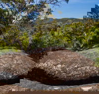 Marramarra Ridge to Smugglers Ridge walking track - Accommodation Melbourne