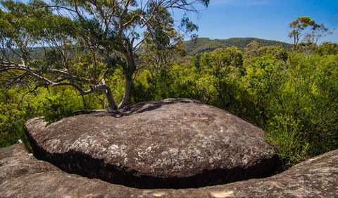 Marramarra Ridge To Smugglers Ridge Walking Track - Accommodation Melbourne 0