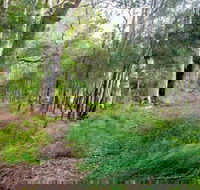 Meroo Lake walking track - Accommodation Melbourne