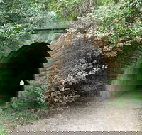 Mushroom Tunnel - Accommodation Melbourne
