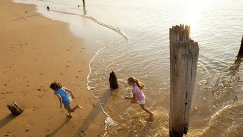 Phillip Island - Accommodation Melbourne 0