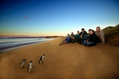 Phillip Island - Accommodation Melbourne 2