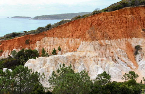 Pinnacles Loop Walking Track - Accommodation Melbourne 0
