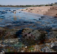Point Cook Marine Sanctuary - Accommodation Melbourne