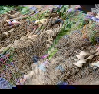 Queanbeyan Park Market - Accommodation Melbourne