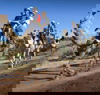 Quorn - Accommodation Melbourne