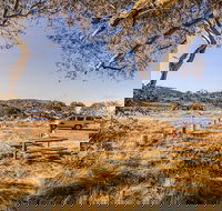 Rennix walking track - Accommodation Melbourne