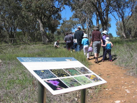 South Gundagai Woodlands Walk - Accommodation Melbourne 0
