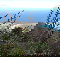 Strzelecki Peaks Great Short Walk - Accommodation Melbourne