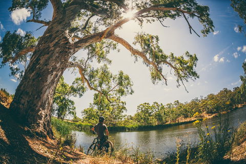 Sturt Gorge Recreation Park - Accommodation Melbourne 0
