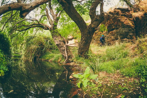 Sturt Gorge Recreation Park - Accommodation Melbourne 1