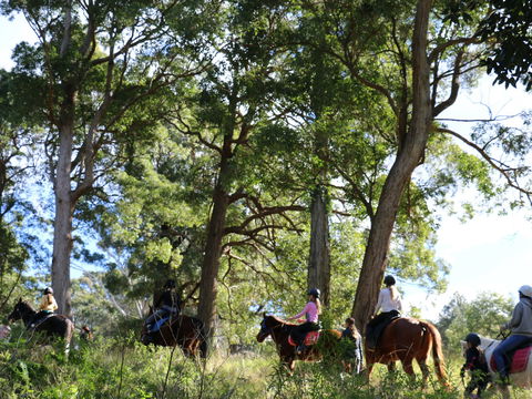 The Outlook Riding Academy - Accommodation Melbourne 0