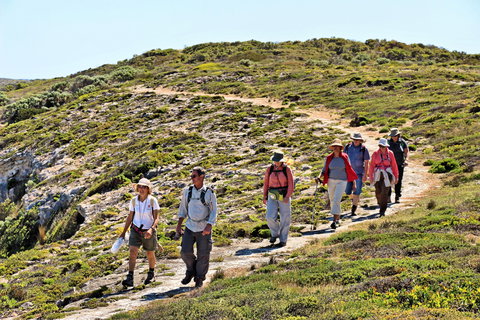 The Sole Walk At Hillocks Drive - Accommodation Melbourne 0