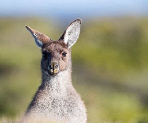 The Sole Walk At Hillocks Drive - Accommodation Melbourne 1