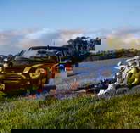 Tourist Drive 28 - Hinterland - Accommodation Melbourne