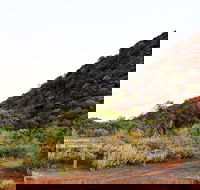 Whyalla Conservation Park - Accommodation Melbourne