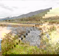 Willis picnic area - Accommodation Melbourne