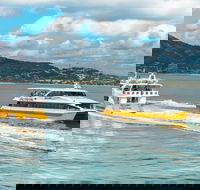 Apex Camps Magnetic Island Group Accommodation Activities and Events - Accommodation Melbourne