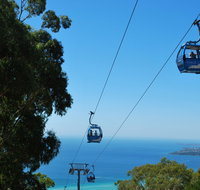 Arthurs Seat Eagle - Accommodation Melbourne